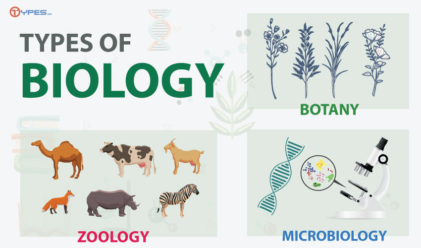 three branches of biology